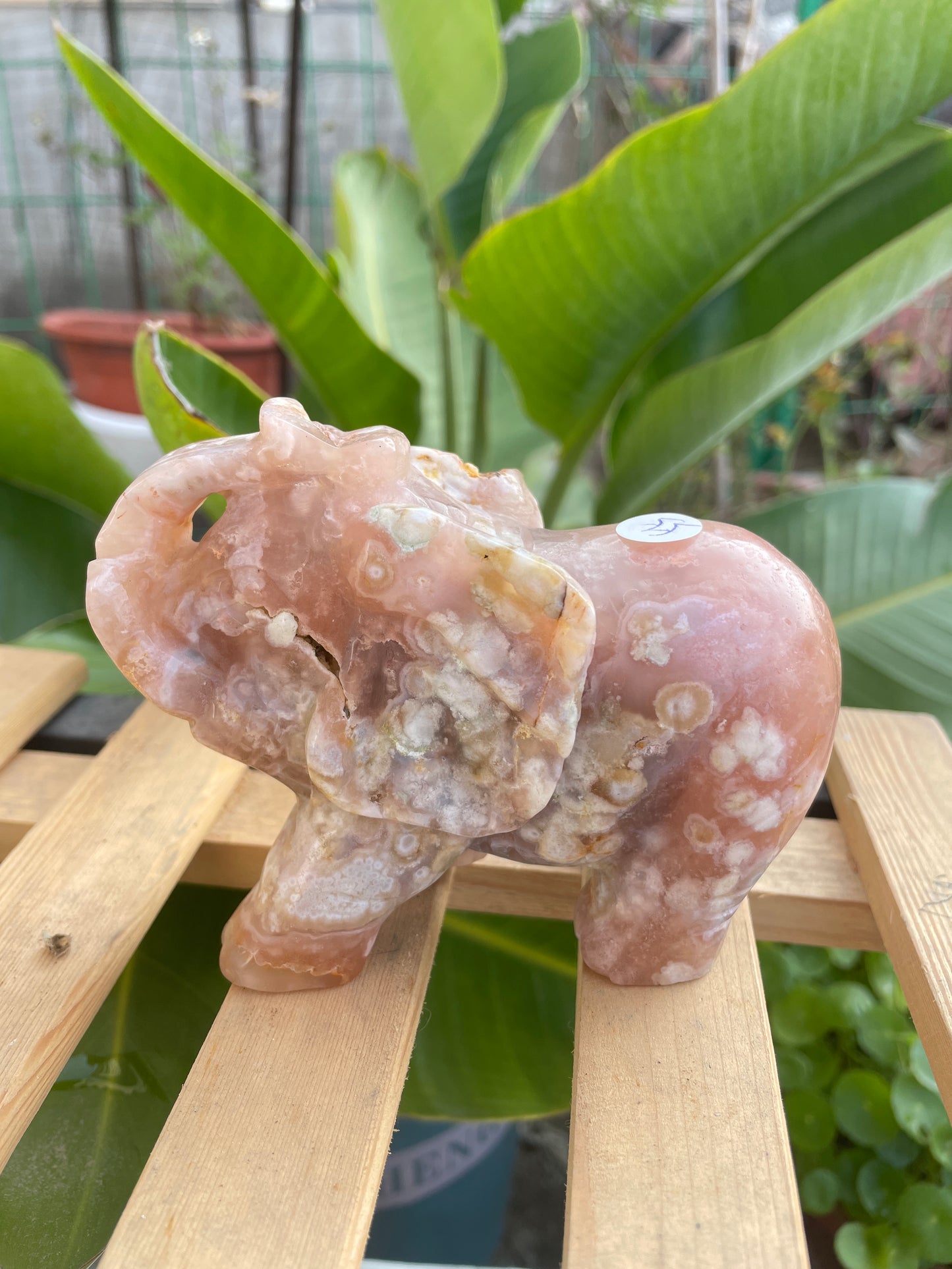 Flower agate elephant