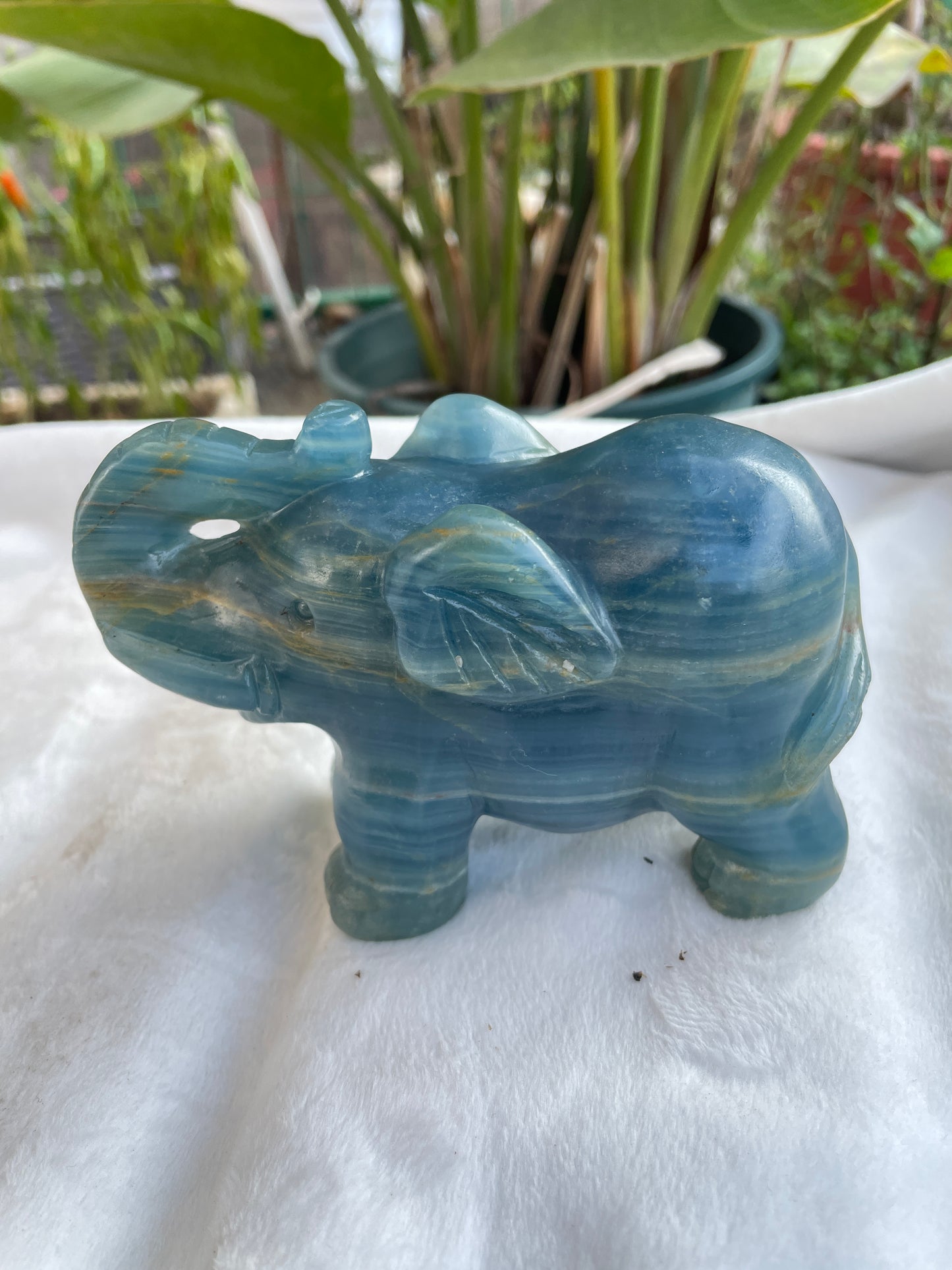Blue onyx elephant