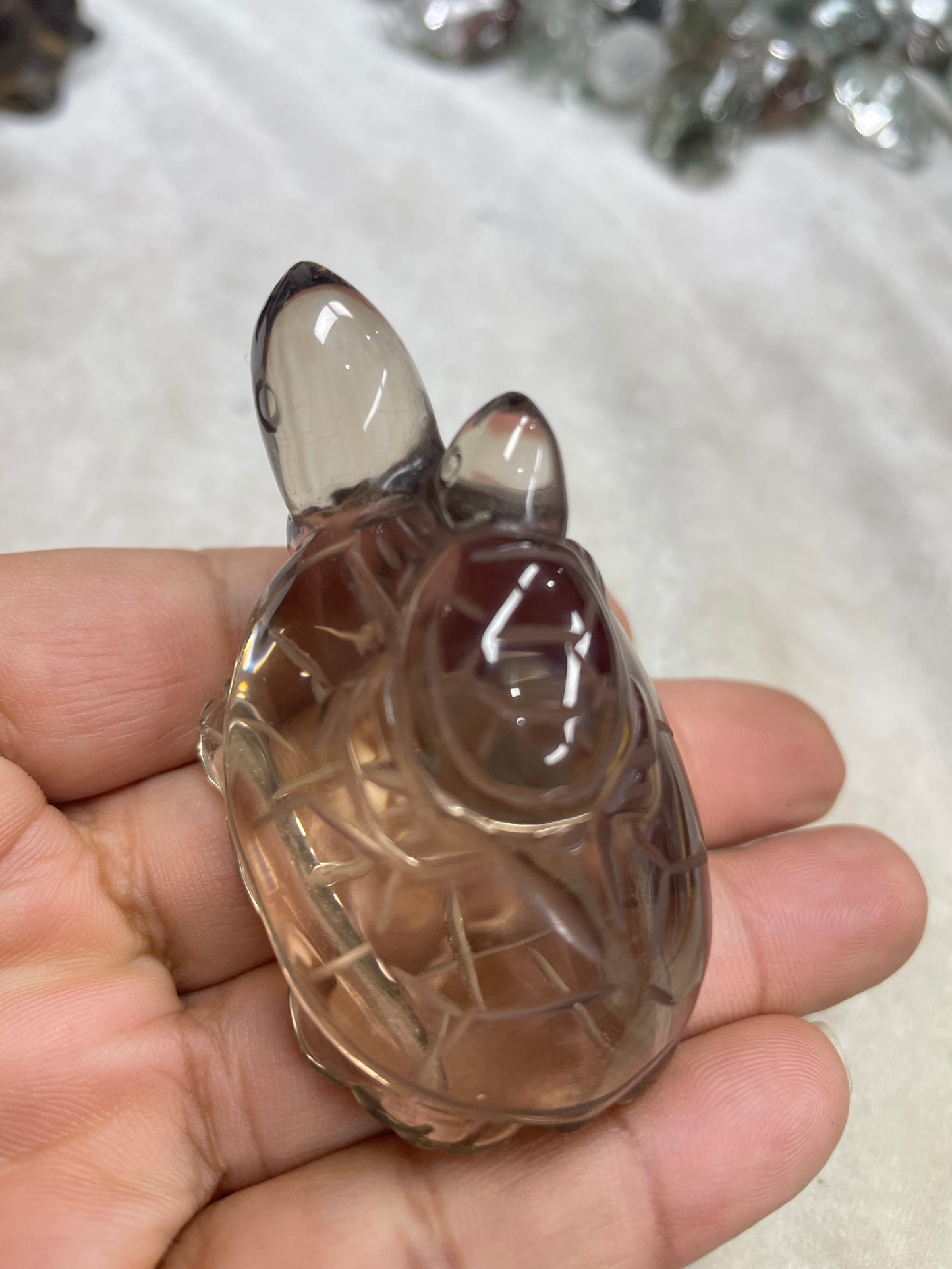 Smoky turtle smoky carvings