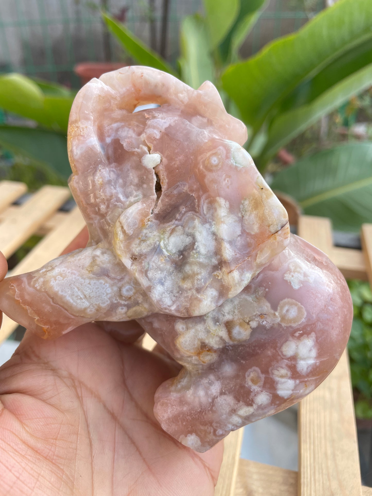 Flower agate elephant
