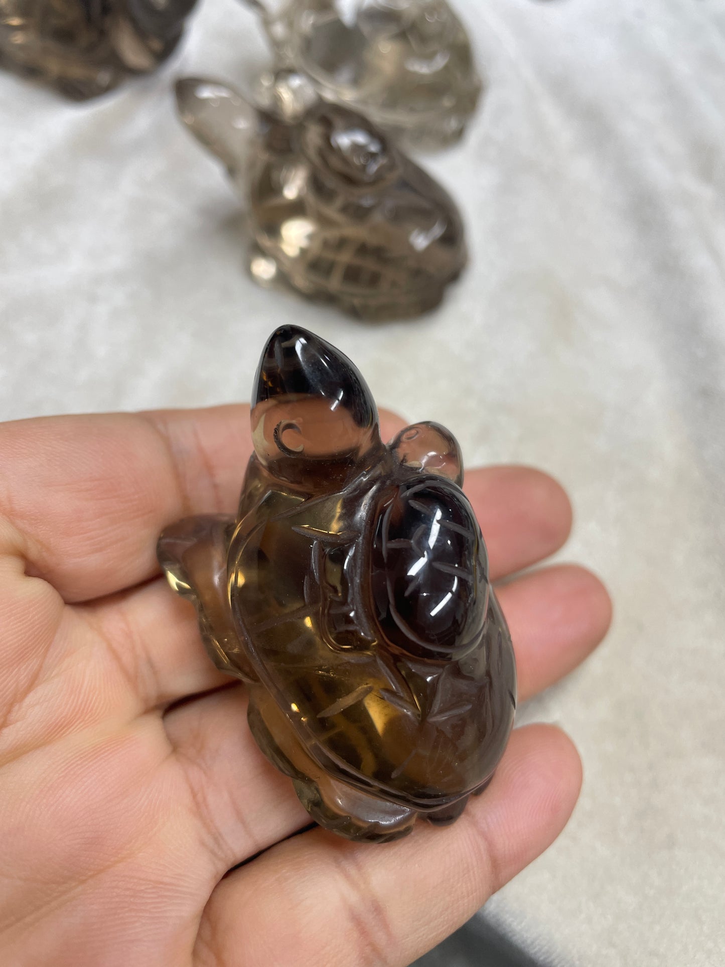 Smoky turtle smoky carvings