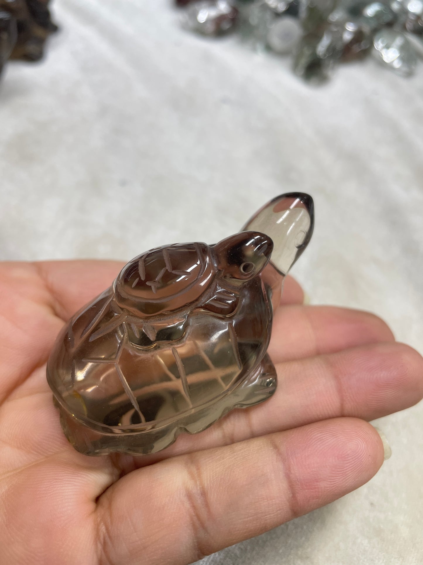 Smoky turtle smoky carvings