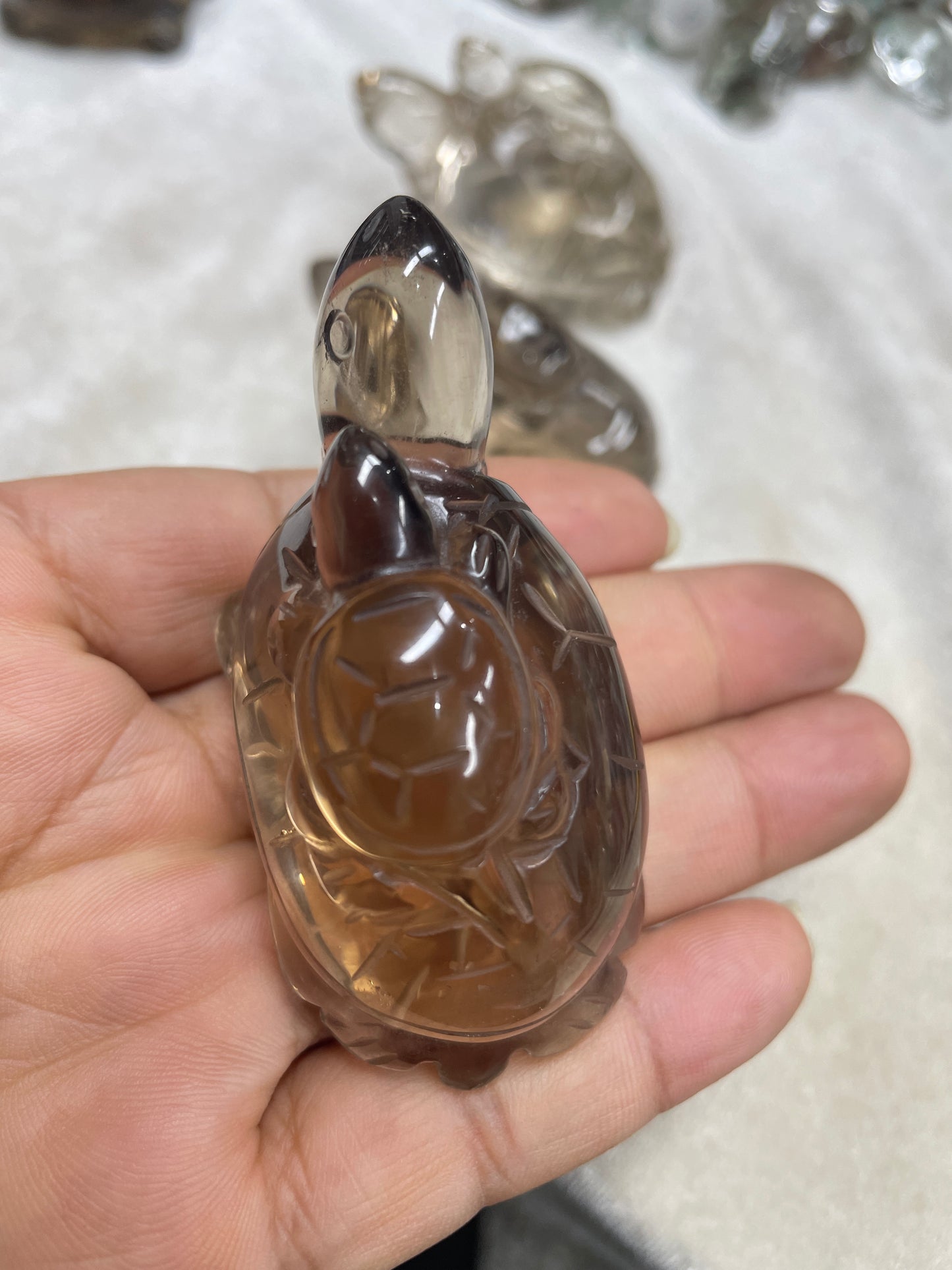 Smoky turtle smoky carvings