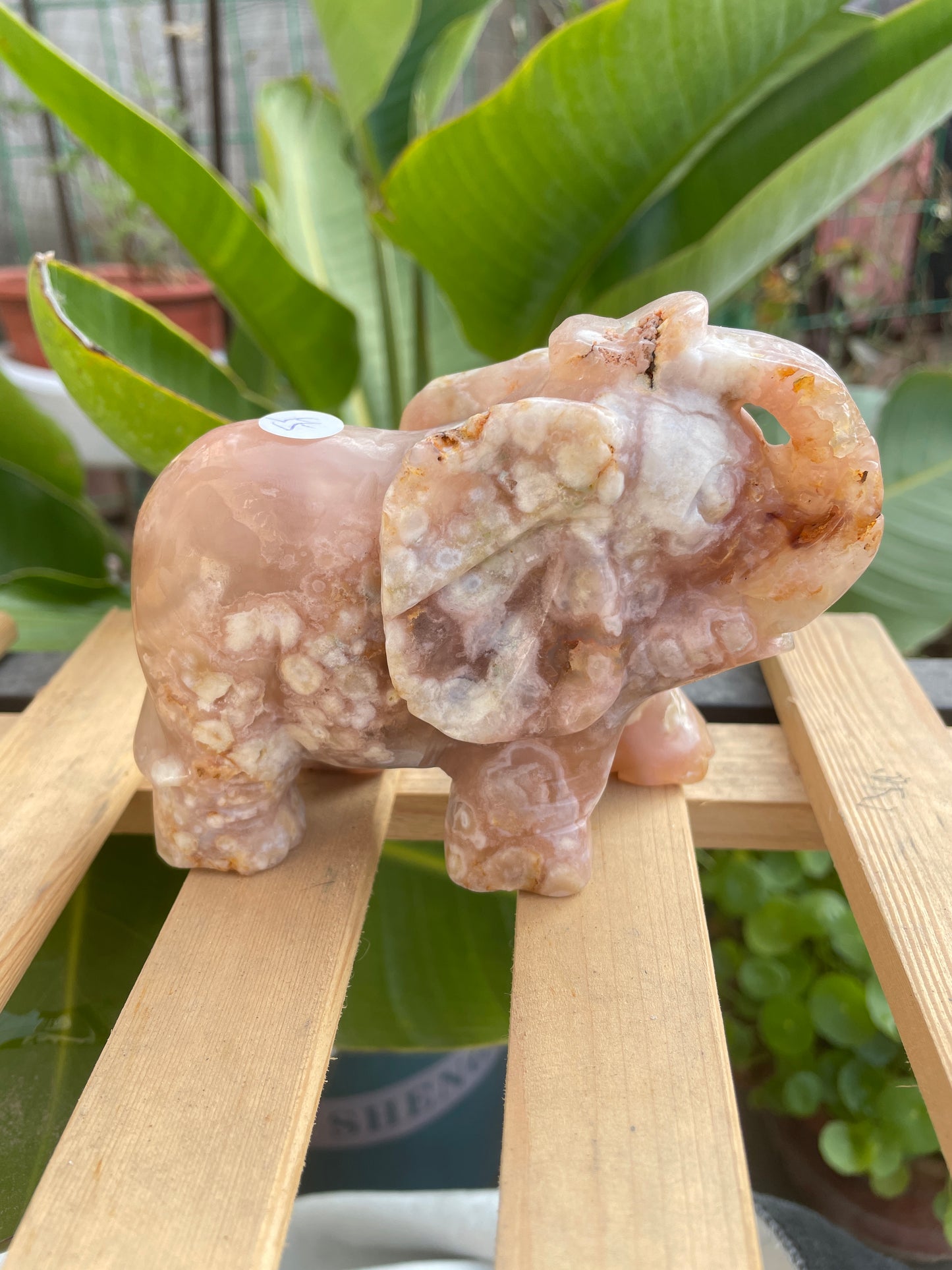 Flower agate elephant