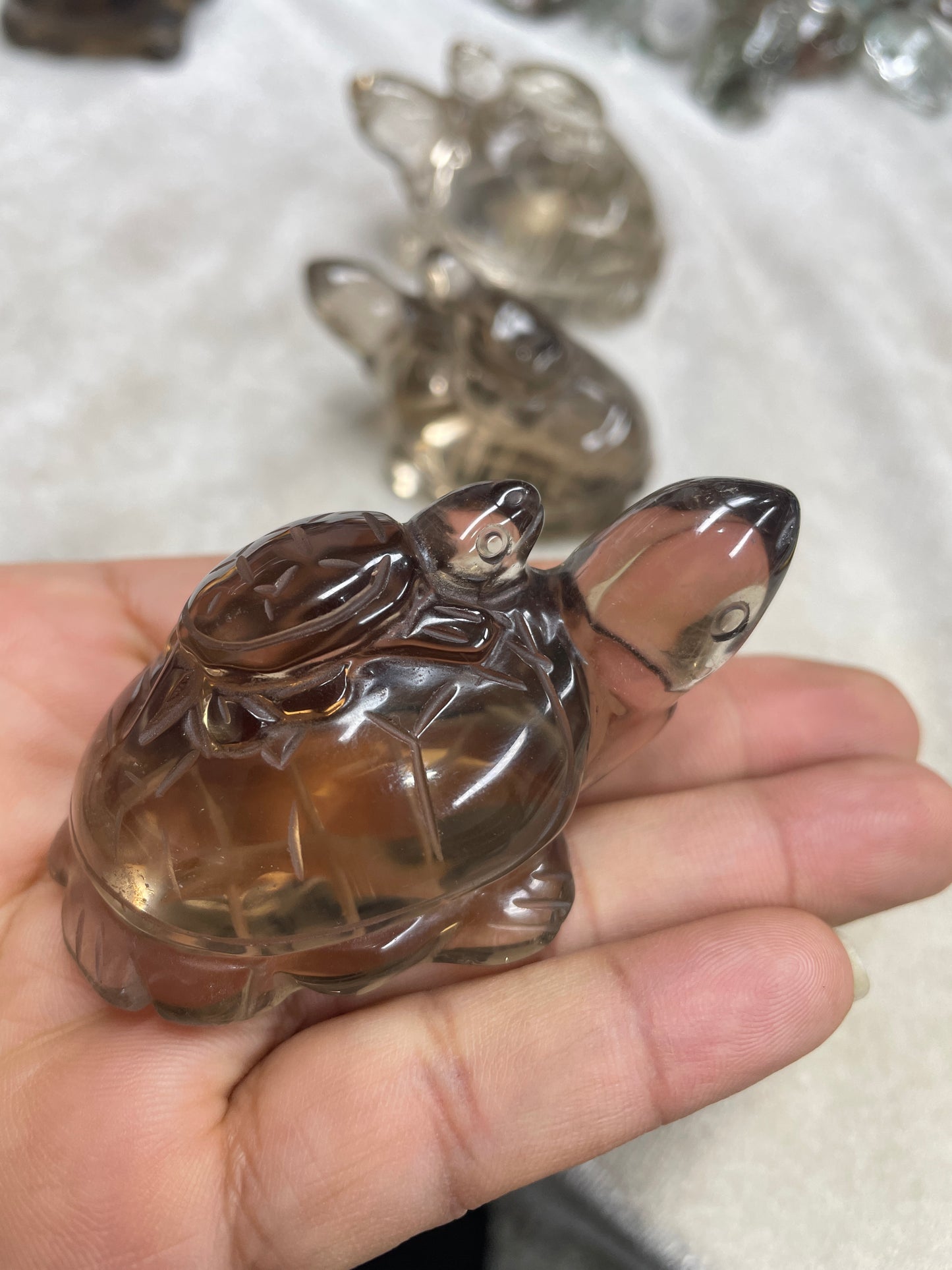 Smoky turtle smoky carvings