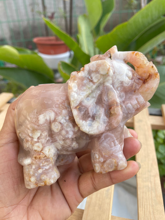 Flower agate elephant
