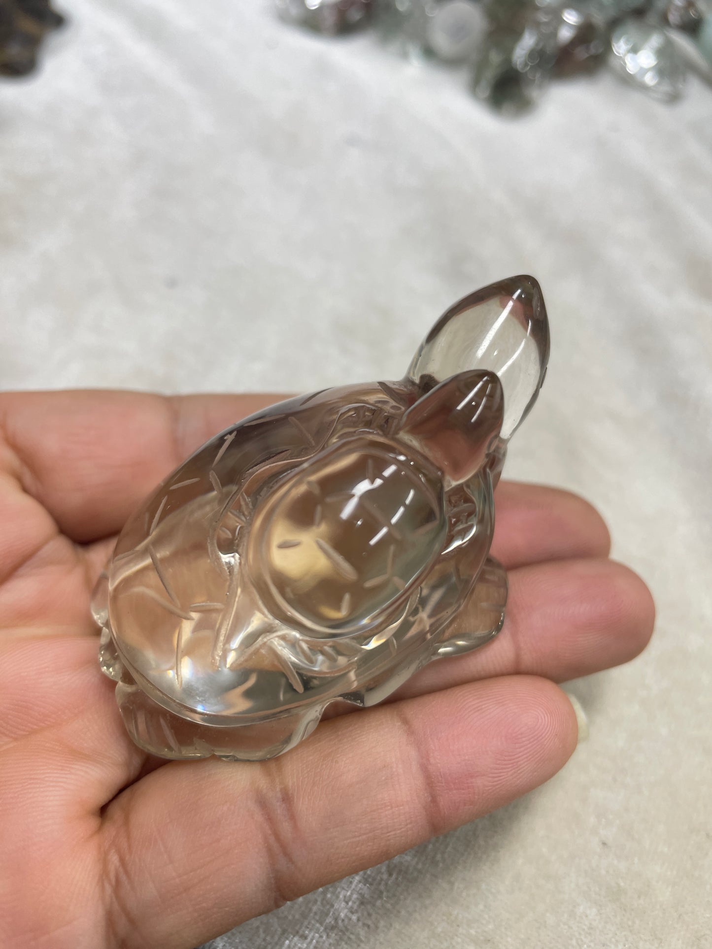 Smoky turtle smoky carvings