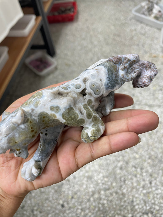 Ocean jasper leopard