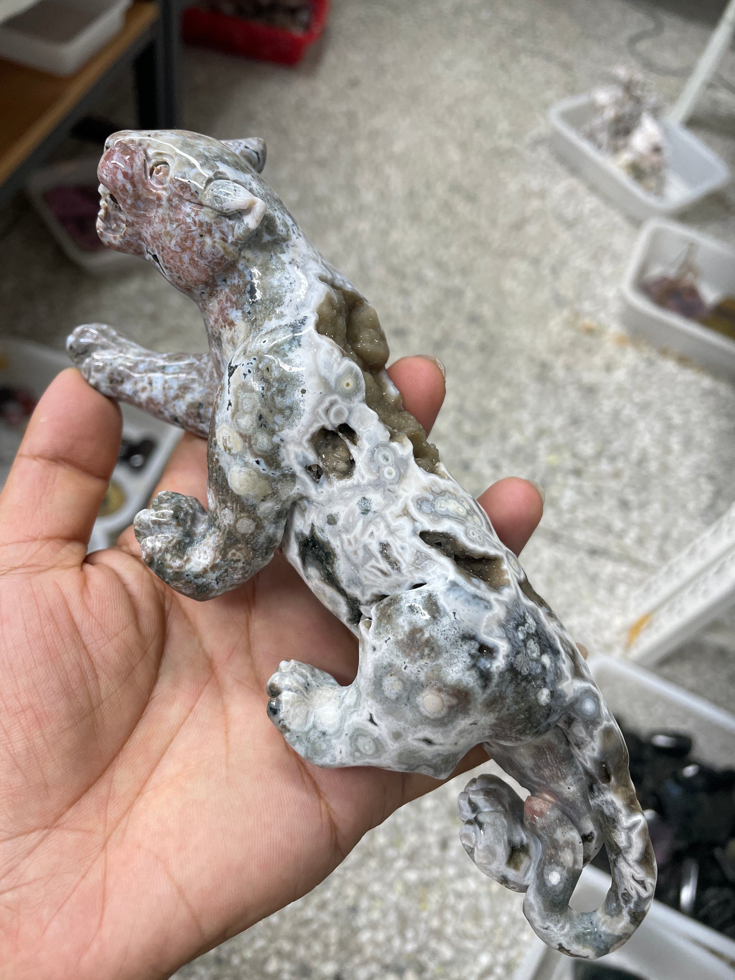 Ocean jasper leopard