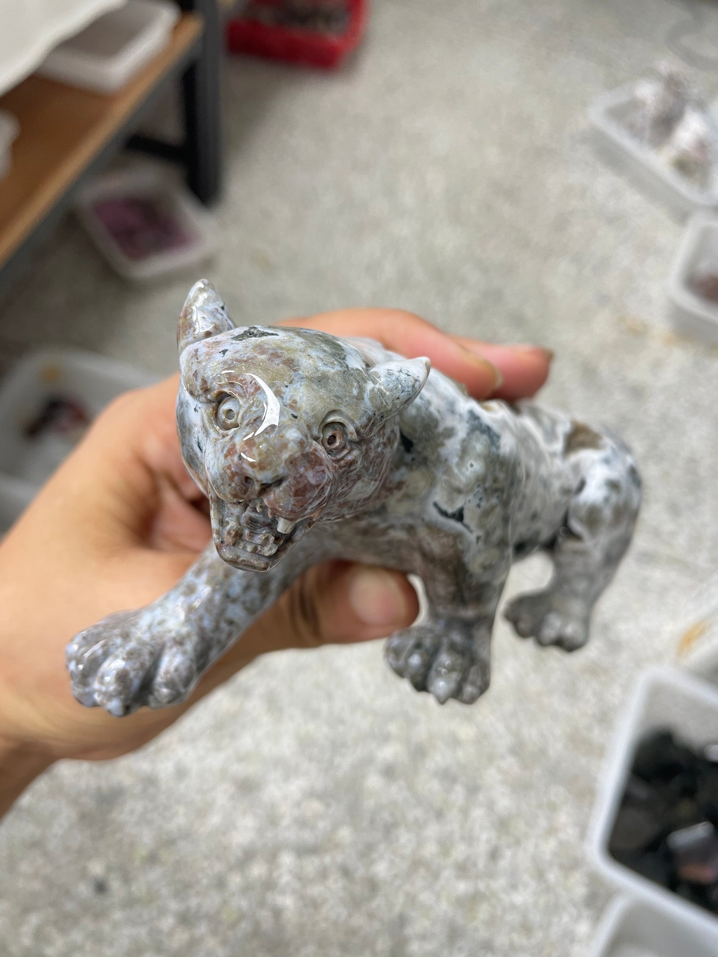 Ocean jasper leopard