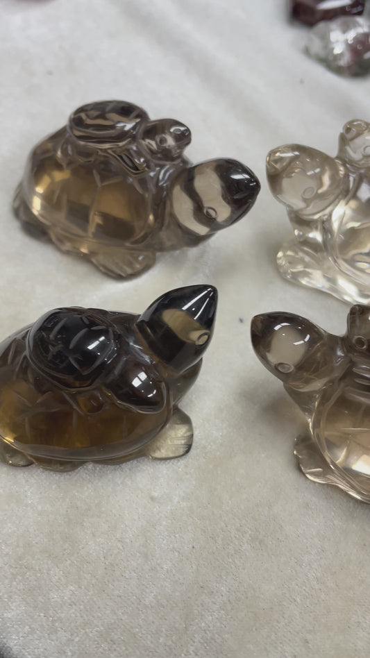 Smoky turtle smoky carvings